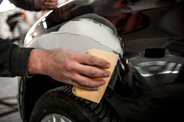Best Mold Damage Restoration  in Albany, GA