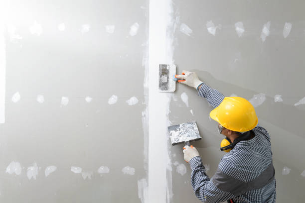 Best Industrial Mold Remediation  in Albany, GA