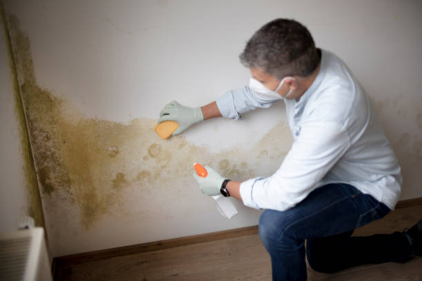 Forensic Mold Investigation in Albany, GA