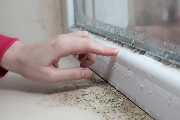 Best Forensic Mold Investigation  in Albany, GA