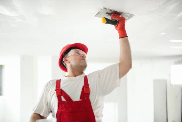 Best Commercial Mold Inspection  in Albany, GA