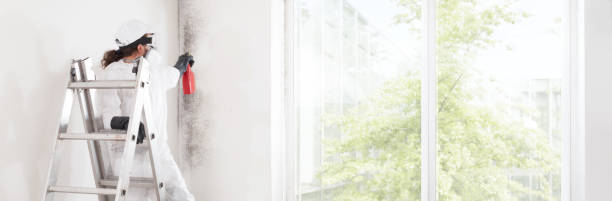 Professional Mold Removal in Albany, GA